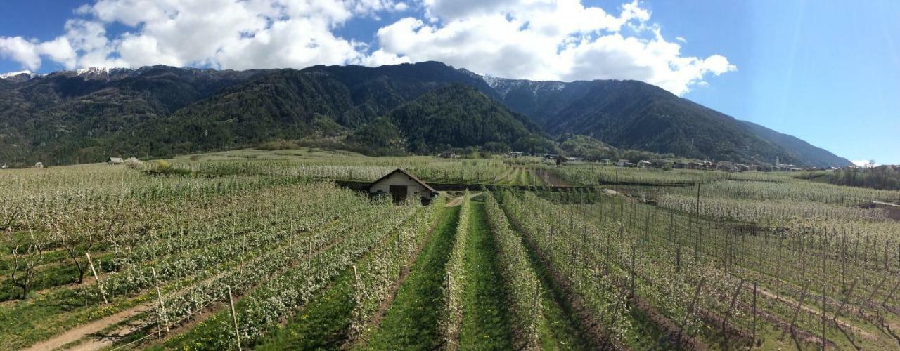 Ca' Marchesi Apartments Sernio Bagian luar foto